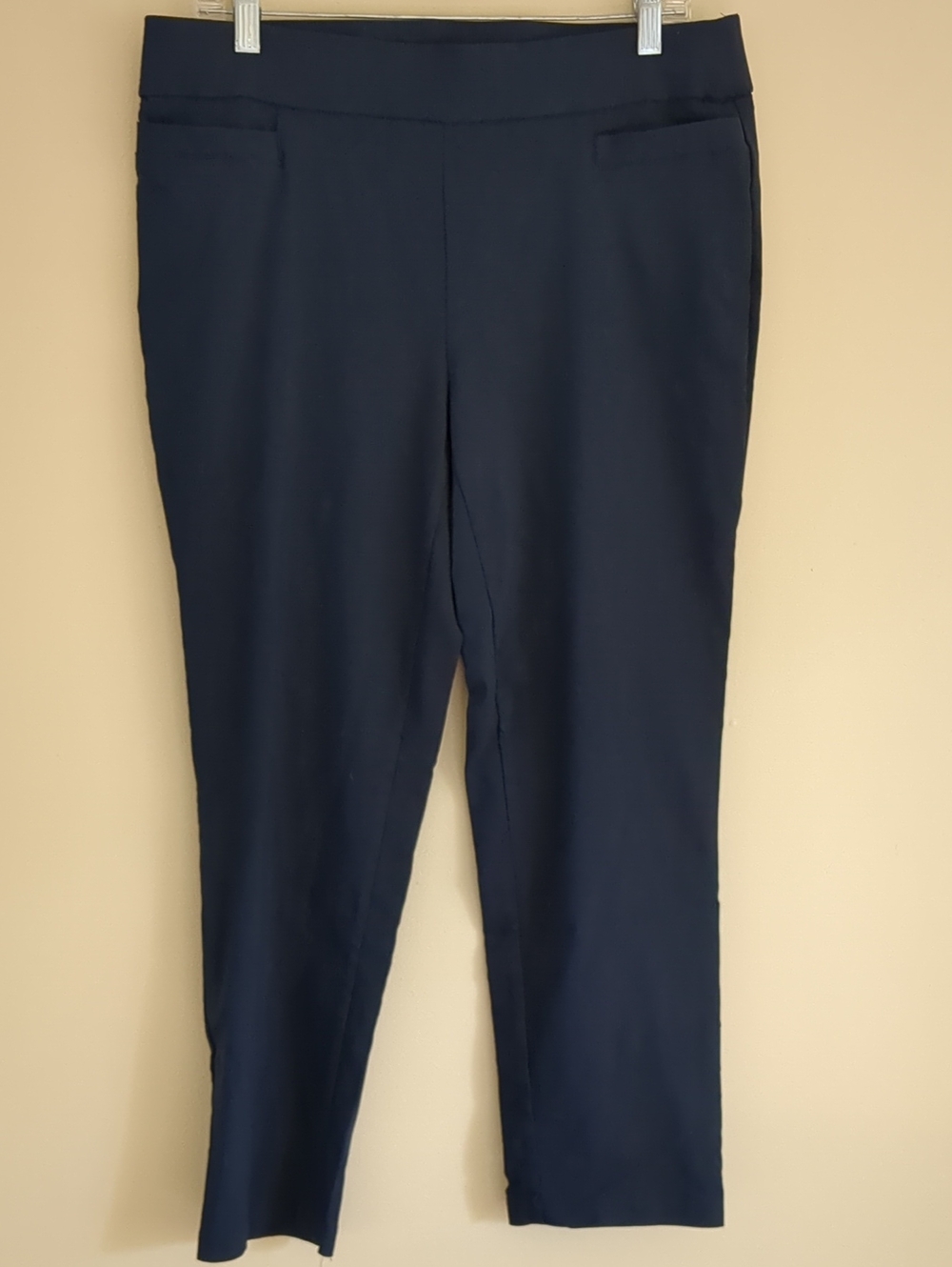 12PS Briggs Petite Blue Pull On Stretch Pants